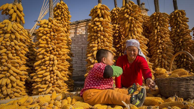 为什么说分税制改革对我国有重大意义?